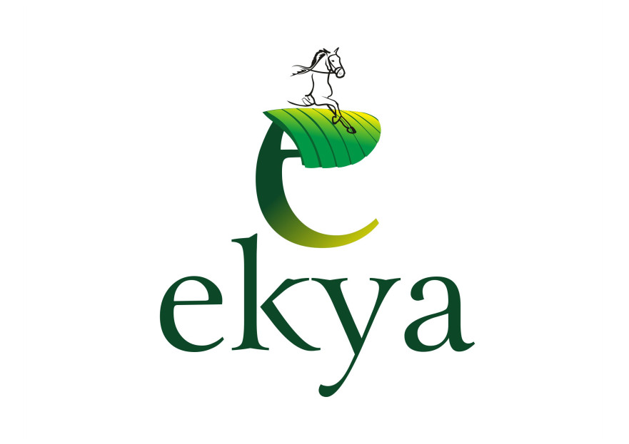 Çiftliğimize logo arıyoruz yarışmasına tasarımcı grfkismail tarafından sunulan  tasarım 