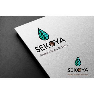 Lüks ahşap yarışmasına tasarımcı Bilgec tarafından sunulan  tasarım 