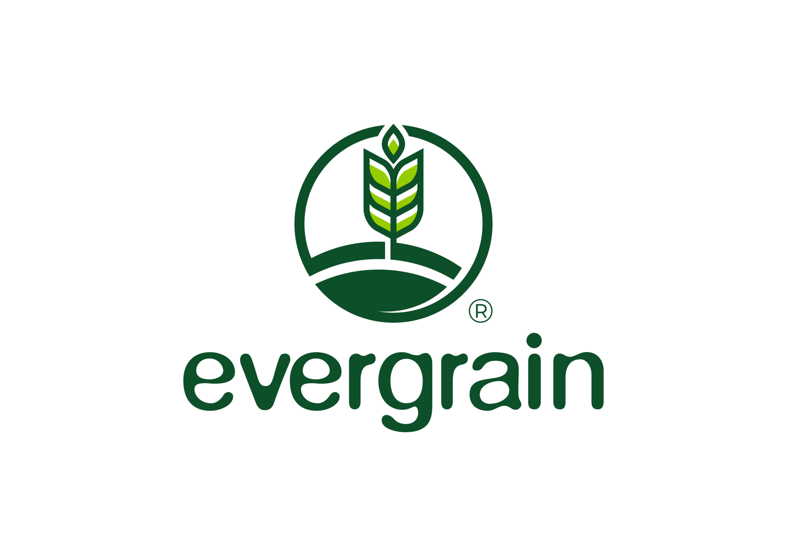 Tasarlayan MS™-EverGrain LLC