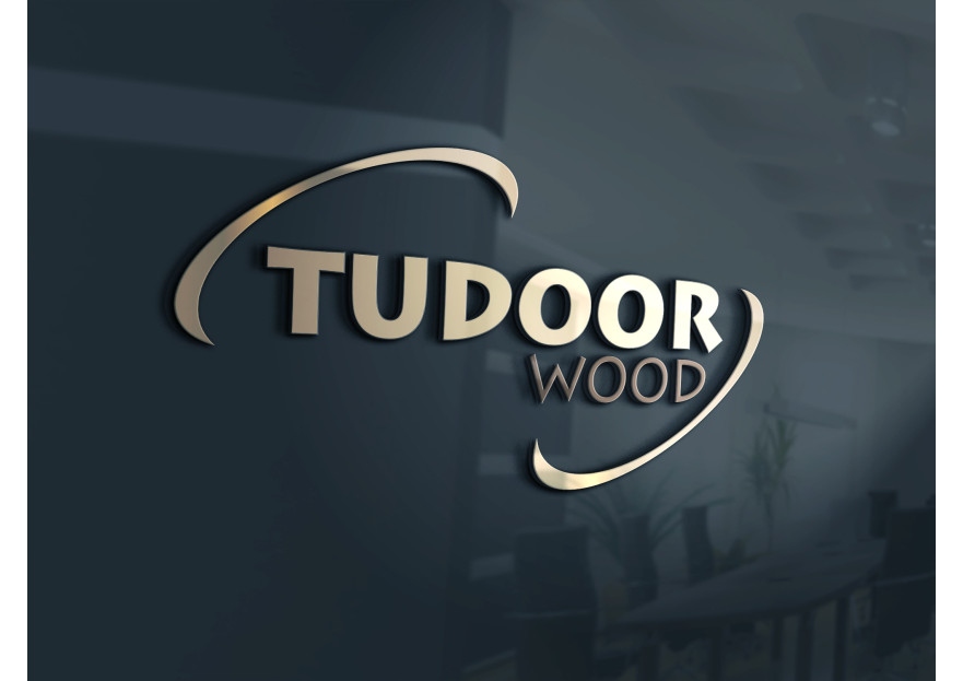 Tudoor logo tasarımı  yarışmasına tasarımcı Shadow tarafından sunulan  tasarım 