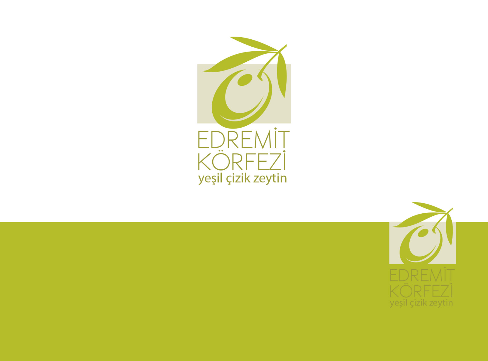 Tasarlayan nesli1-Edremit Körfezi Yeşil Çizik Zeytin