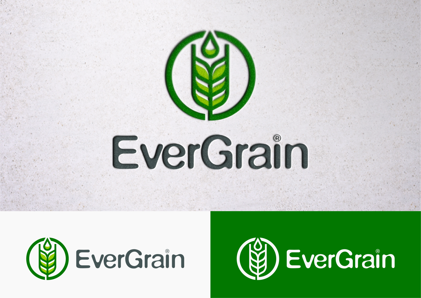 Tasarlayan MS™-EverGrain LLC