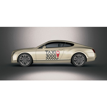 TAXI 3000      LOGO TASARIMI yarışmasına tasarımcı ferielinda tarafından sunulan  tasarım 
