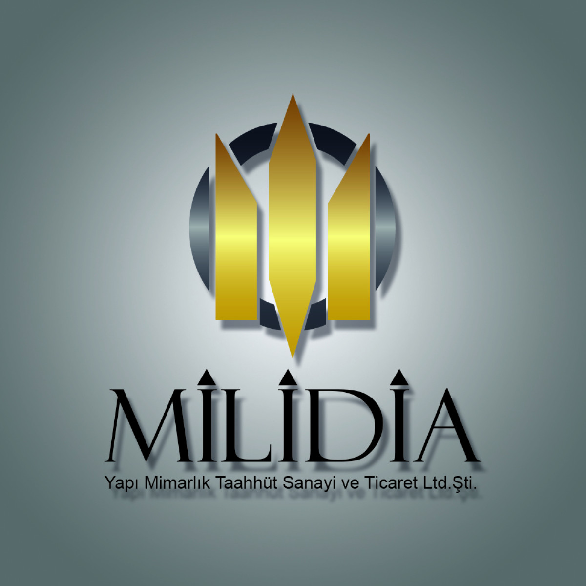 Tasarlayan immortal-MiLİDİA YAPI