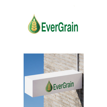 EverGrain LLC yarışmasına tasarımcı mbeyzap tarafından sunulan  tasarım 