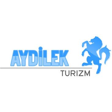 TURİZM TAŞIMA FİRMAMIZA LOGO VE KURUMSAL yarışmasına tasarımcı KnockOut tarafından sunulan  tasarım 