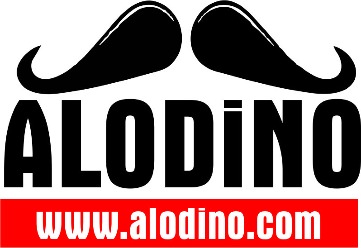 Tasarlayan Logomasterchef-(alodino.com) e ticaret sitesi için 