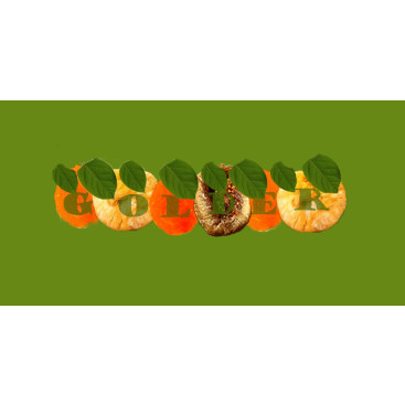 YENİ OLUŞTURDUĞUMUZ MARKAYA LOGO TASARIM yarışmasına tasarımcı sessizfirtina_ tarafından sunulan  tasarım 