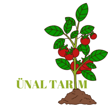 Tarım çiftçi domates gübre zirai bayii   yarışmasına tasarımcı bitasarımcı tarafından sunulan  tasarım 