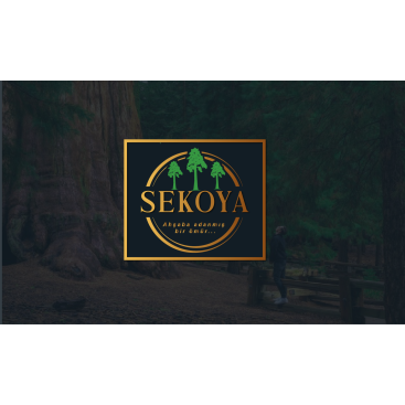 Lüks ahşap yarışmasına tasarımcı izdüsümü tarafından sunulan  tasarım 