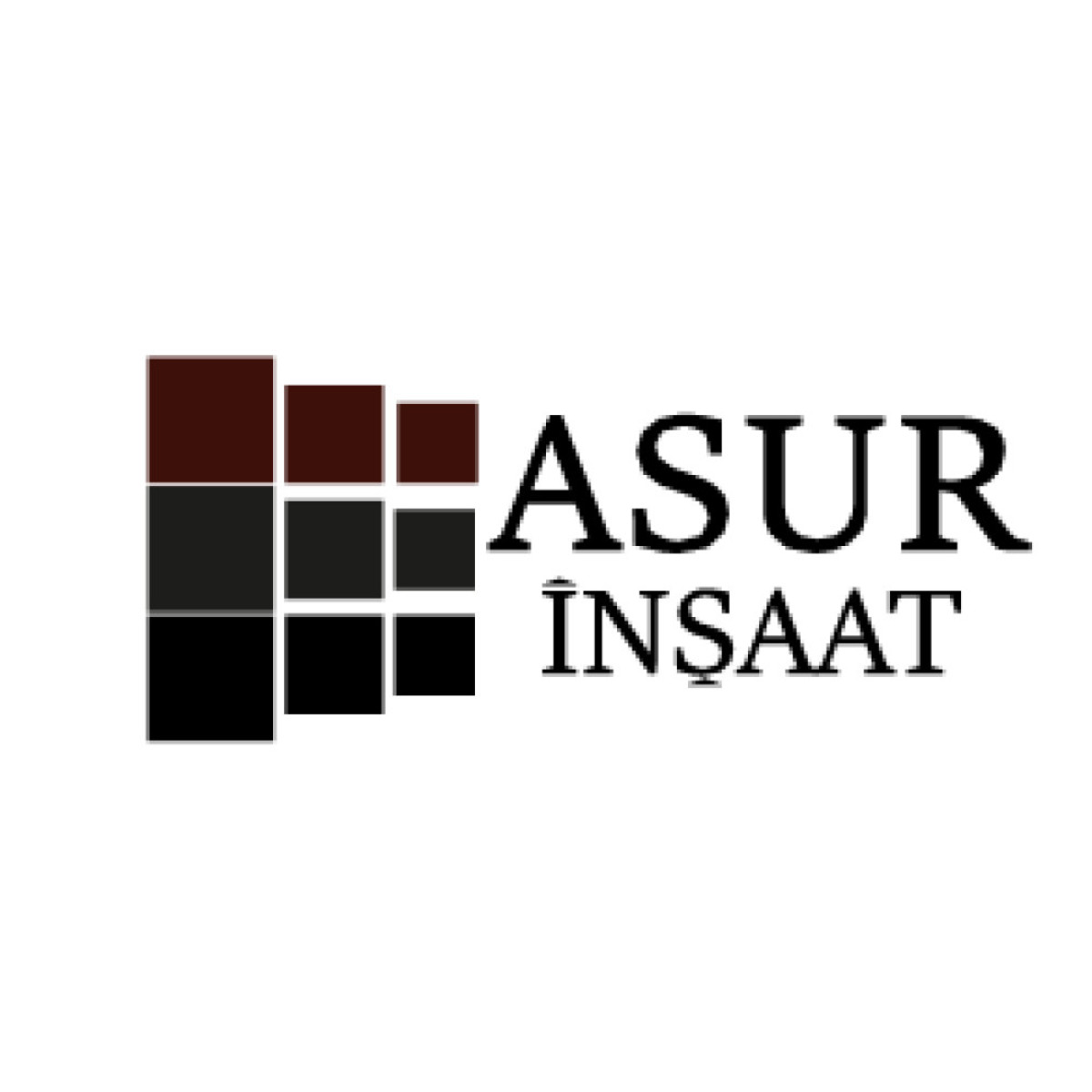 Tasarlayan Boyeba-ASUR İNŞAAT İÇİN LOGO TASARIM