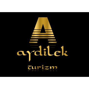 TURİZM TAŞIMA FİRMAMIZA LOGO VE KURUMSAL yarışmasına tasarımcı KnockOut tarafından sunulan  tasarım 