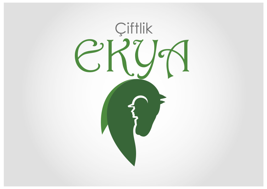 Çiftliğimize logo arıyoruz yarışmasına tasarımcı Bidesign tarafından sunulan  tasarım 