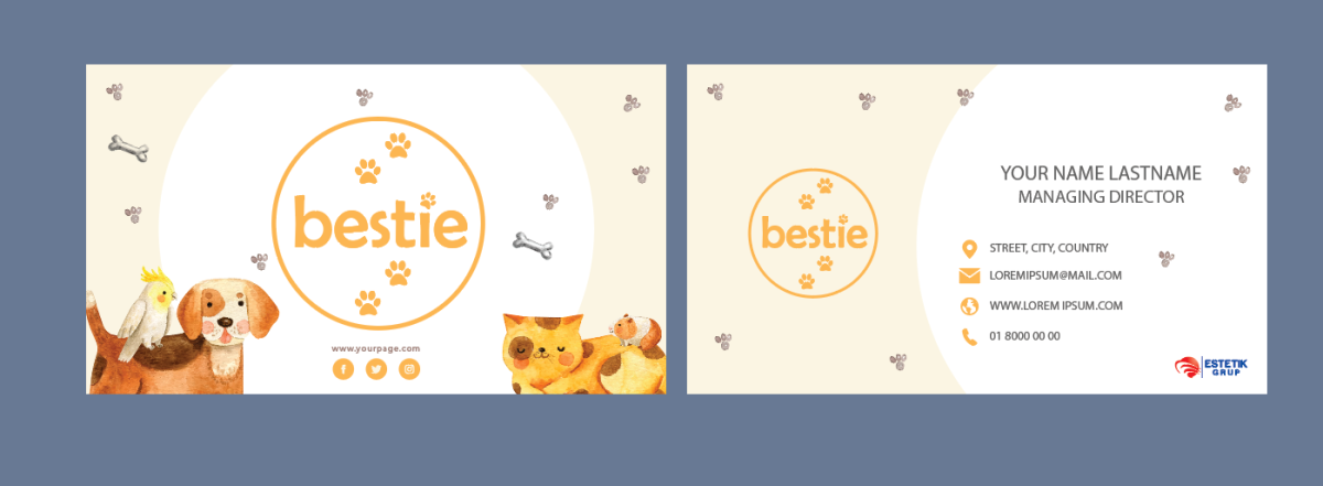 Tasarlayan 493965-Bestie Markamız için kurumsal kartvizit 