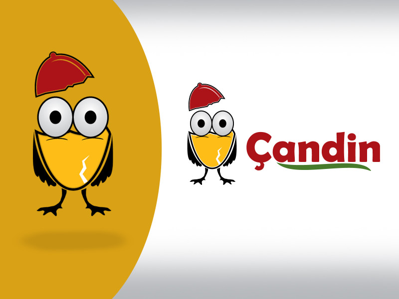 Emeğini ve fikrinizi istiyorum