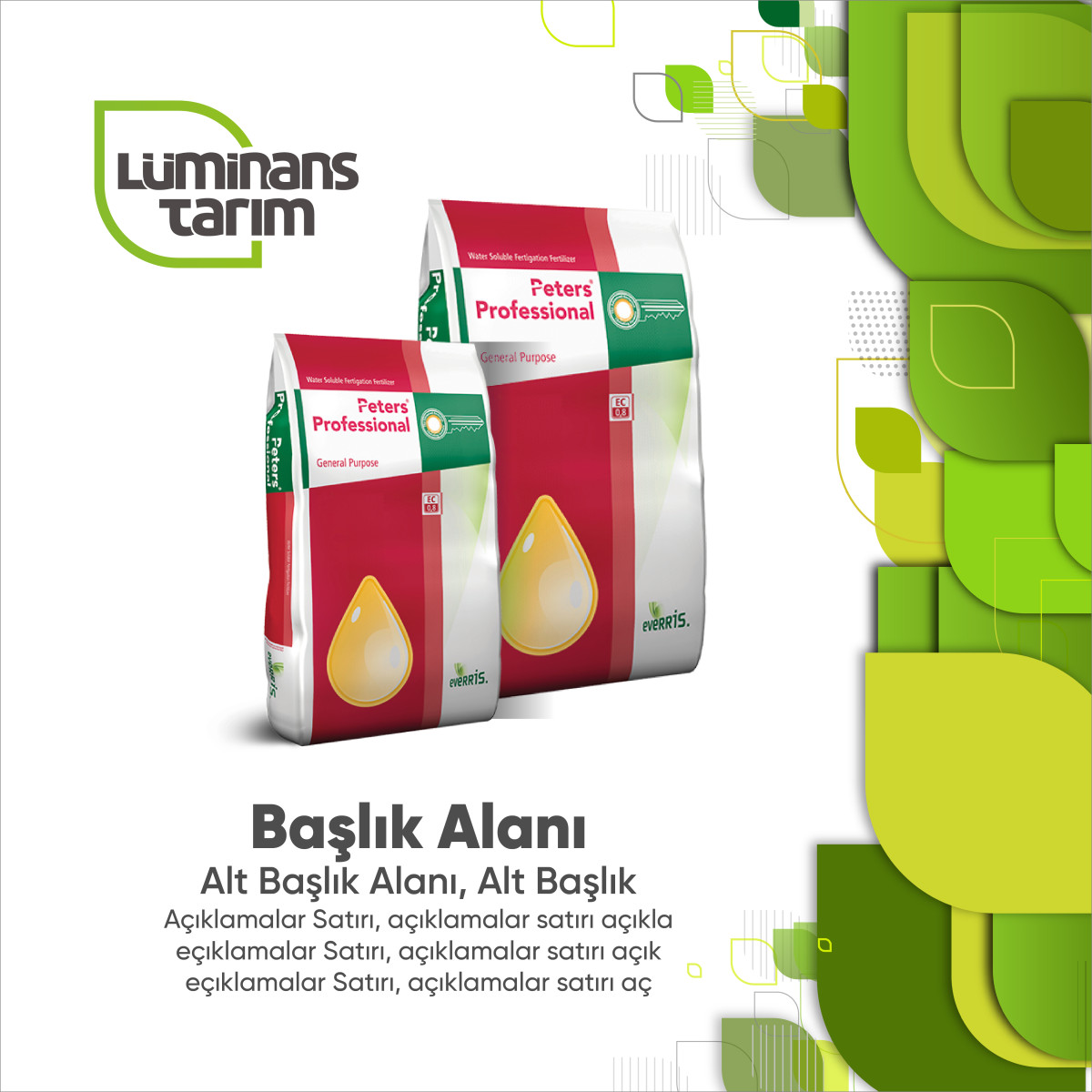 Tasarlayan takcan-Kurumsal Sosyal Medya Paylaşım Şablonu