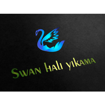 HALI YIKAMA FİRMASI LOGOSUNU ARIYOR yarışmasına tasarımcı Kalem tarafından sunulan  tasarım 