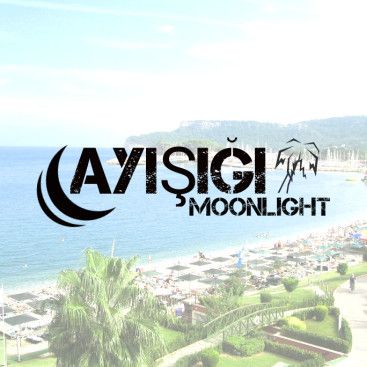 Ayışığı (Moonlight) logosunu arıyor yarışmasına tasarımcı BYbelbas tarafından sunulan  tasarım 
