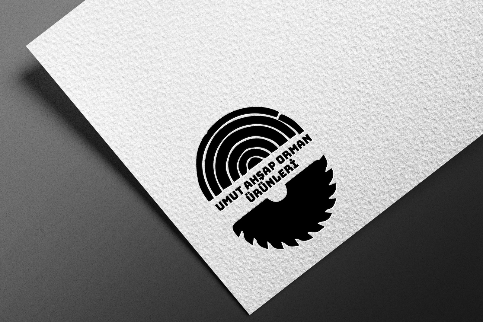 Tasarlayan rumeysa çelik-ilk logo ilk tasarım