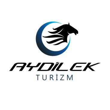 TURİZM TAŞIMA FİRMAMIZA LOGO VE KURUMSAL yarışmasına tasarımcı hattori hanzo® tarafından sunulan  tasarım 