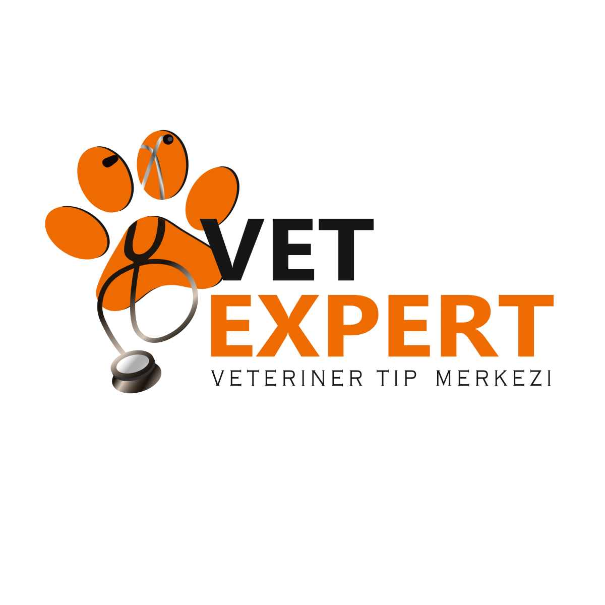 Tasarlayan designo-Veteriner Kliniği logo tasarimi ornekli
