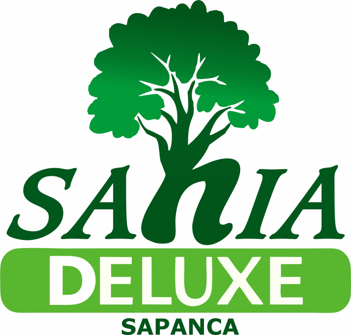 Tasarlayan PixelPulse-Etkileyici Tasarımınızı Yap, Ödülü Kap..