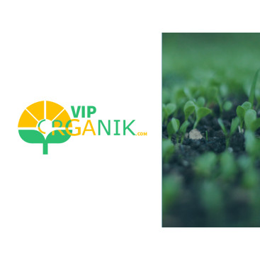 En kral logo ve kurumsal kimlik tasarımı yarışmasına tasarımcı X160 tarafından sunulan  tasarım 