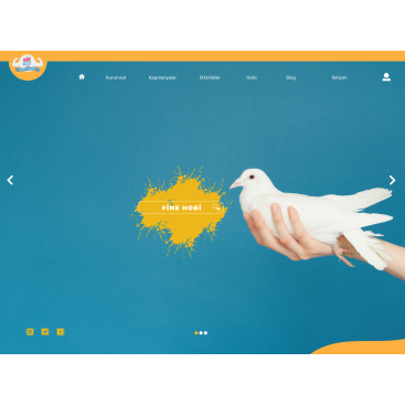 Eğlenceli bir hobi sitesi tasarımı  yarışmasına tasarımcı rAksa tarafından sunulan  tasarım 