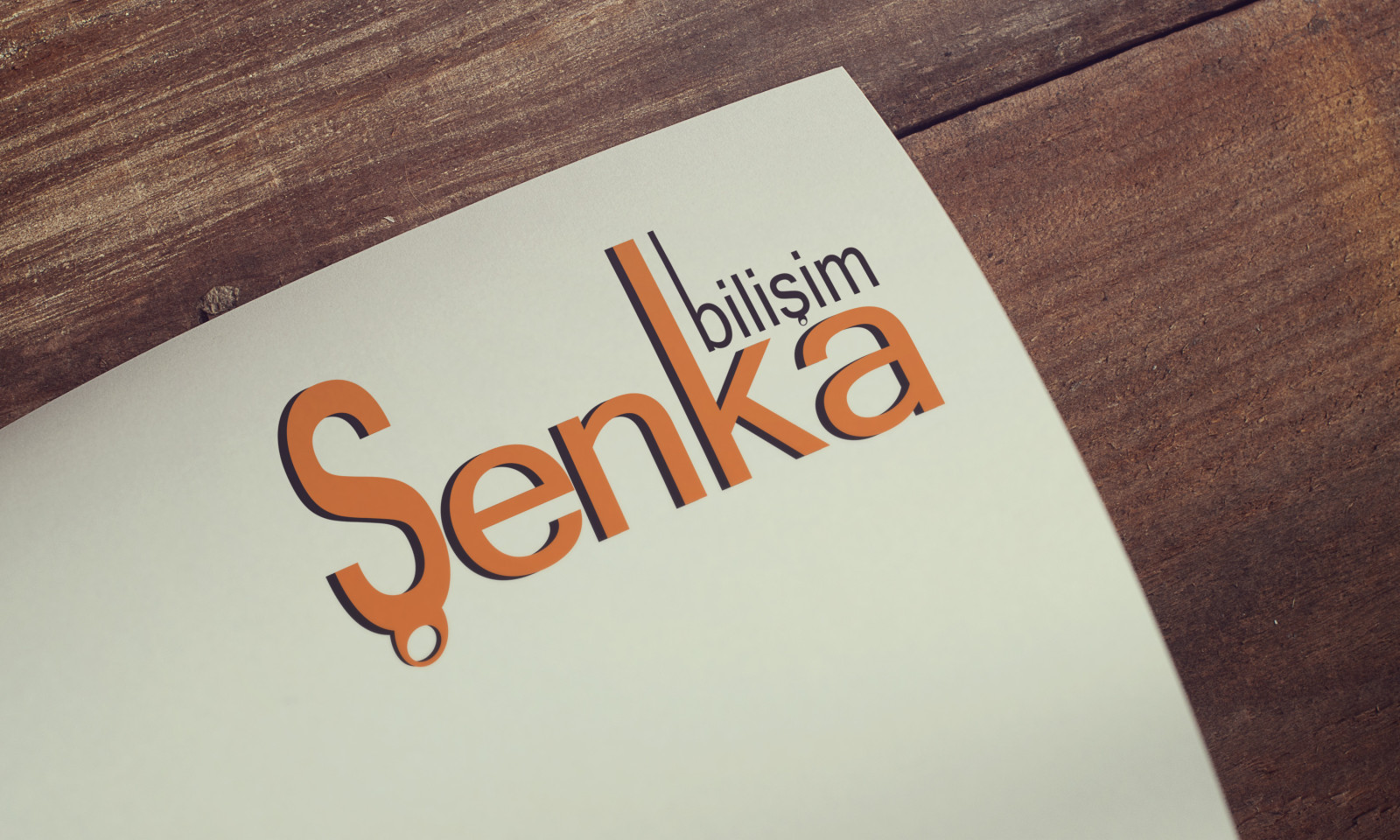 Tasarlayan GrapHane-ŞENKA BİLİŞİM LOGOSUNU ARIYOR