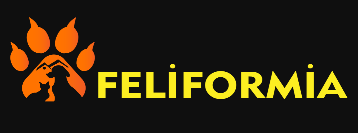 Tasarlayan Aynur_90-SANAL MARKETimiz için Logo TASARIMI