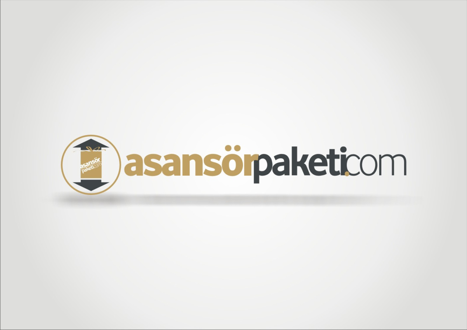 Tasarlayan RΛPİDO-asansörpaketi.com  logosunu arıyor.