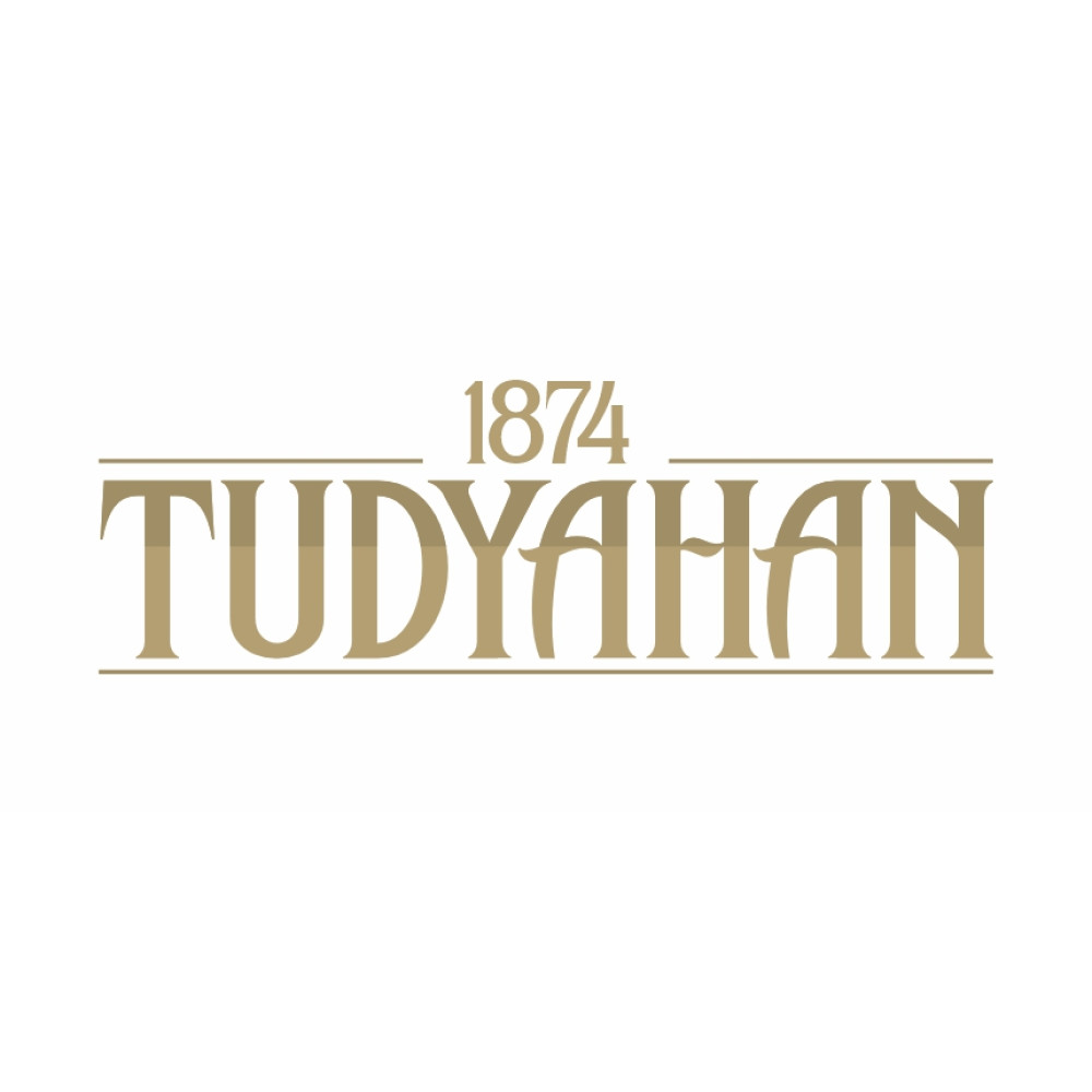 tudyahan 1874 yarışmasına Cansusah tarafından girilen tasarım