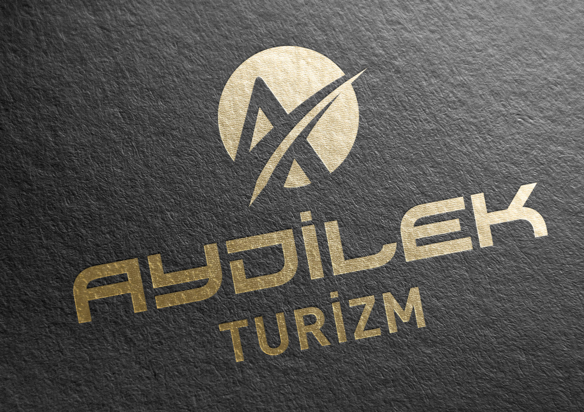 Tasarlayan siliconvalley-TURİZM TAŞIMA FİRMAMIZA LOGO VE KURUMSAL