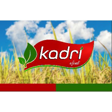 Kadri efendi yarışmasına tasarımcı X266 tarafından sunulan  tasarım 