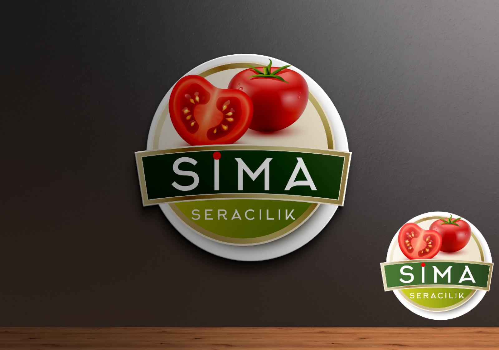 Tasarlayan §âdık Đesìgn-Sera firmamız için logo tasarımı 