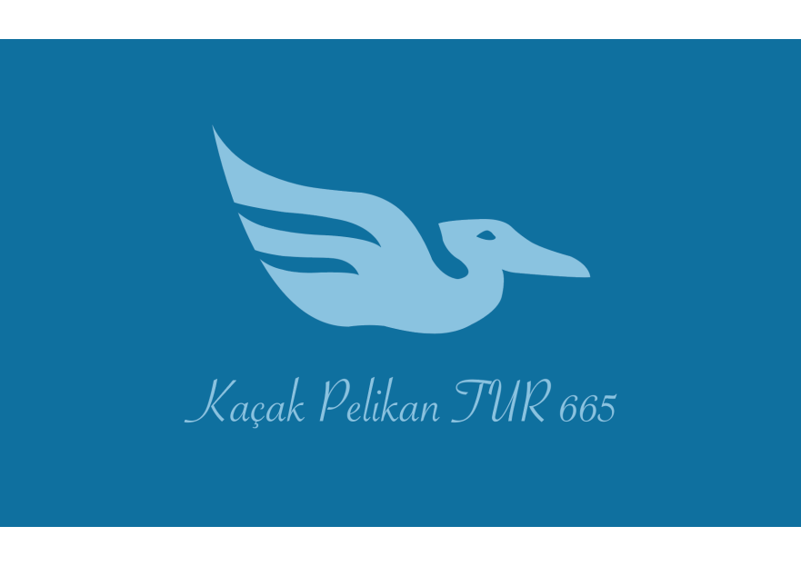 Yelken Takımımız için Logo Tasarımı yarışmasına tasarımcı Raisa tarafından sunulan  tasarım 
