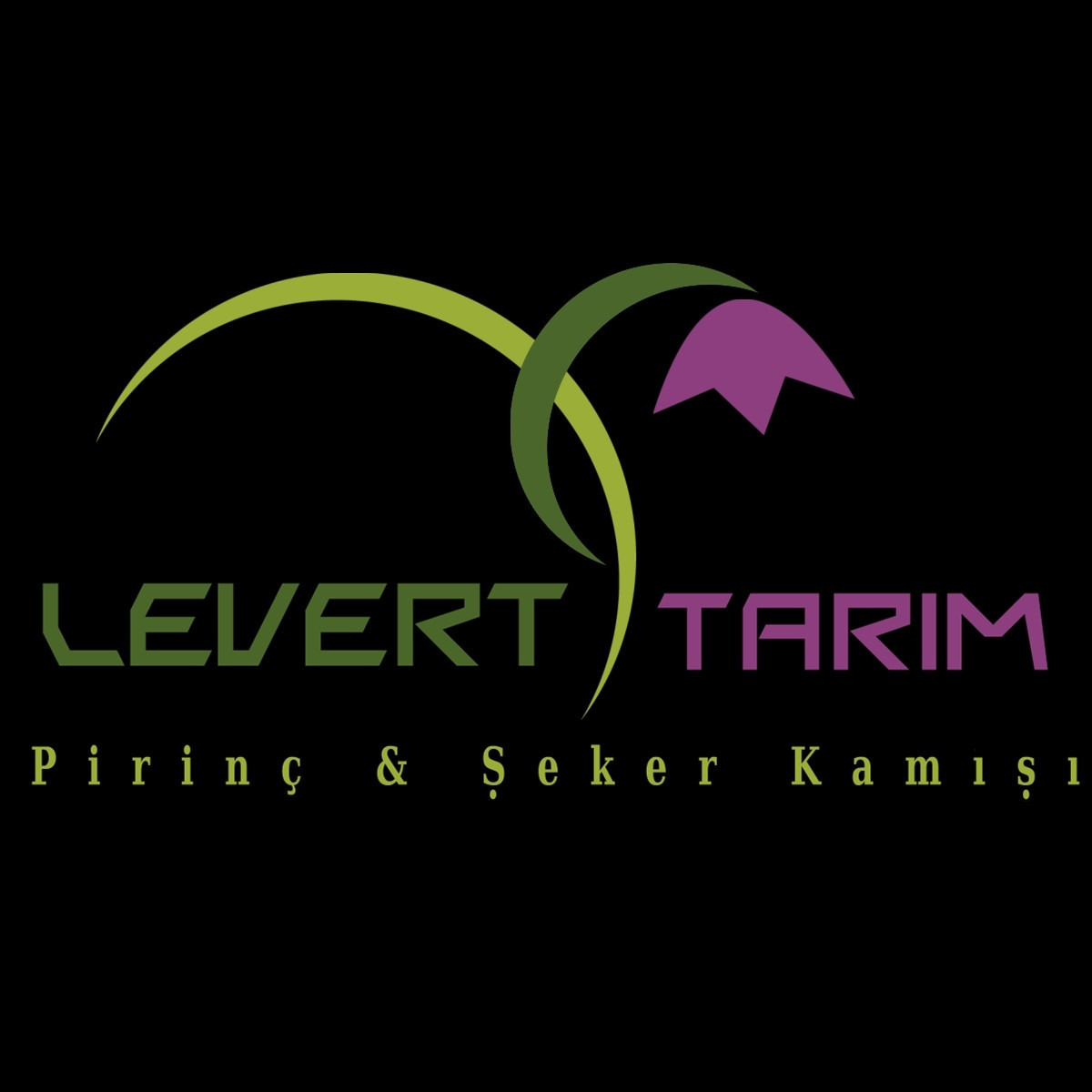 Tasarlayan KnockOut-Zarif ve Ciddi Logo Design