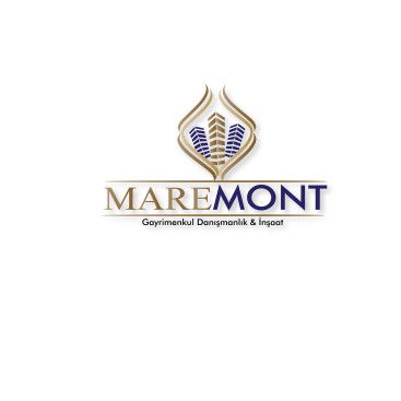 Firma İçin Logo ve Kartvizit Çalışması  yarışmasına tasarımcı dream_design tarafından sunulan  tasarım 