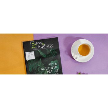 Dergi Logosu Tasarımı yarışmasına tasarımcı comlektegrafik tarafından sunulan  tasarım 