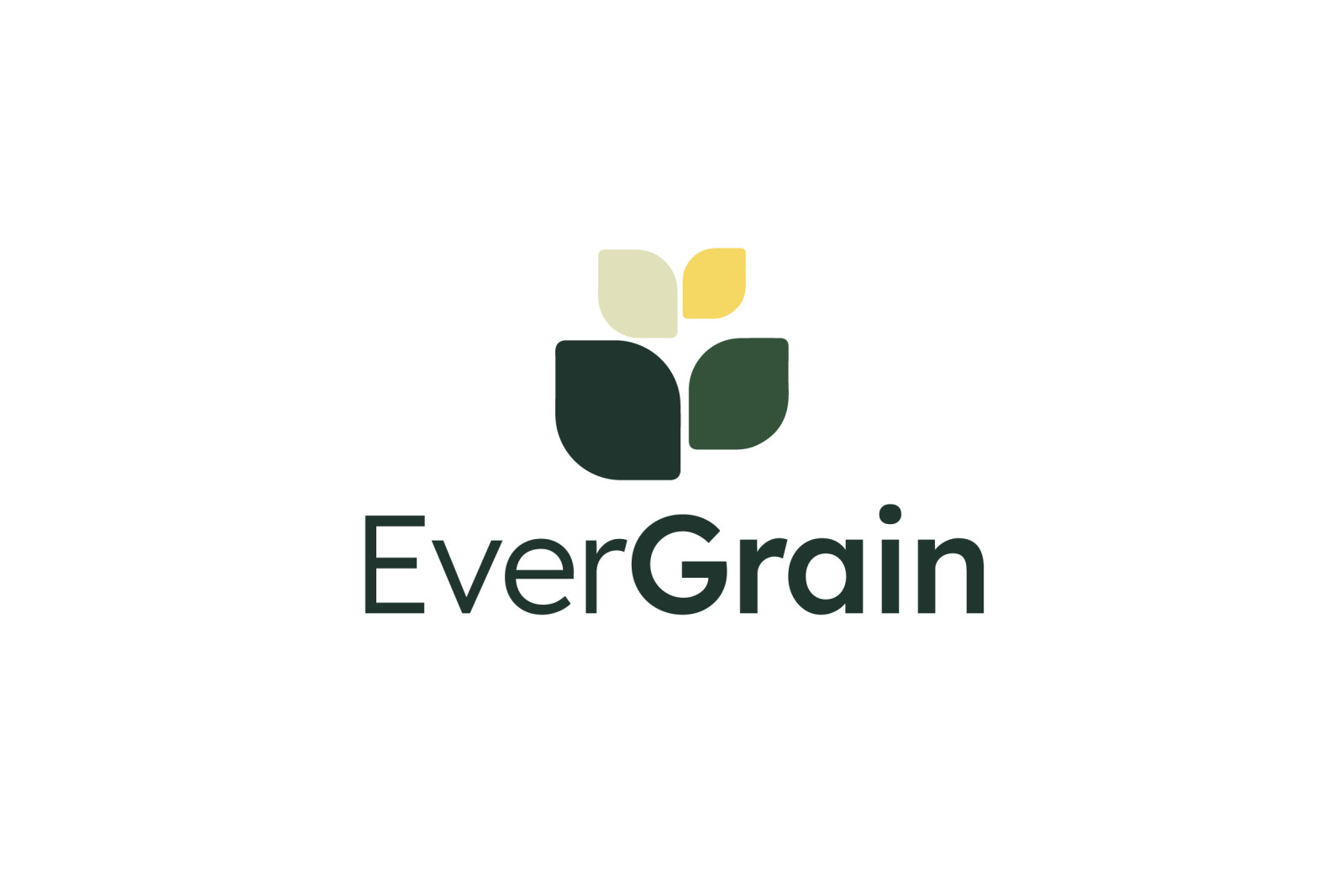 Tasarlayan mervetsoglu-EverGrain LLC