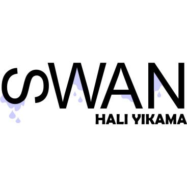 HALI YIKAMA FİRMASI LOGOSUNU ARIYOR yarışmasına tasarımcı bus_ozen tarafından sunulan  tasarım 