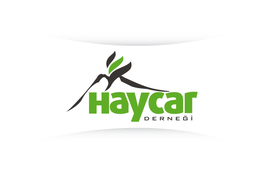 Haycar derneği logosunu arıyor yarışmasına tasarımcı RΛPİDO tarafından sunulan  tasarım 
