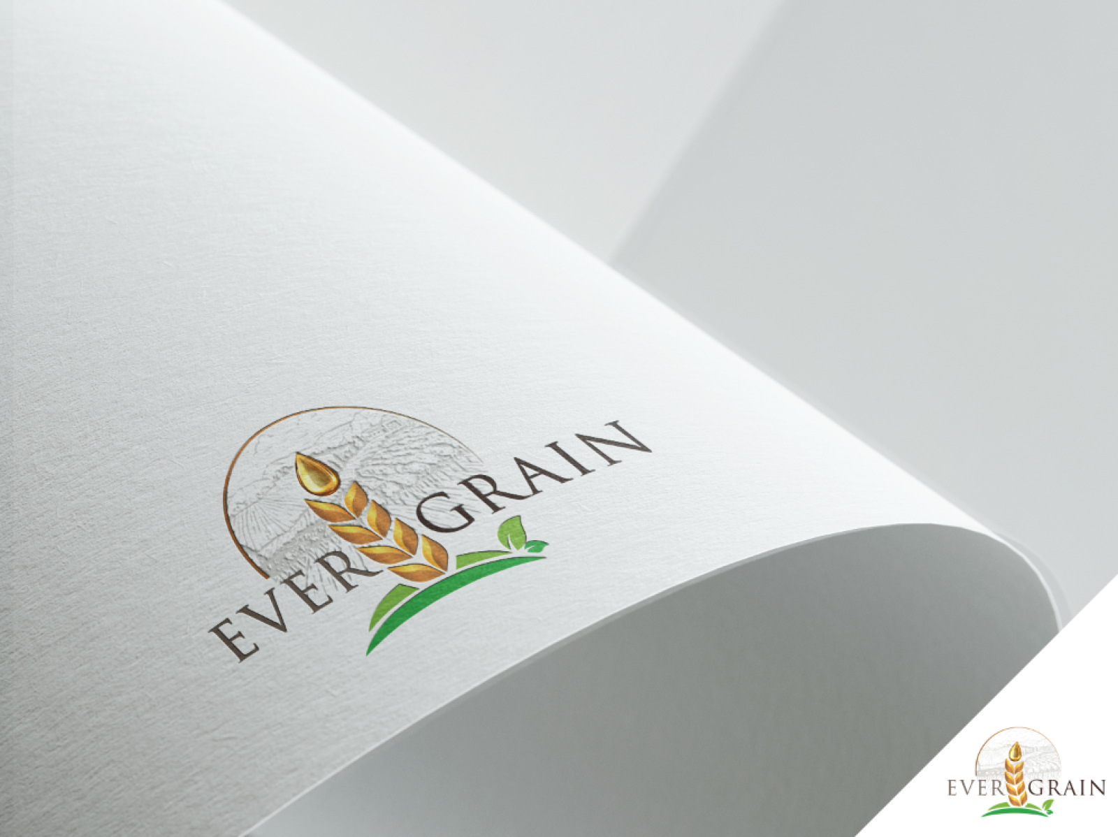 Tasarlayan GCLONR-EverGrain LLC