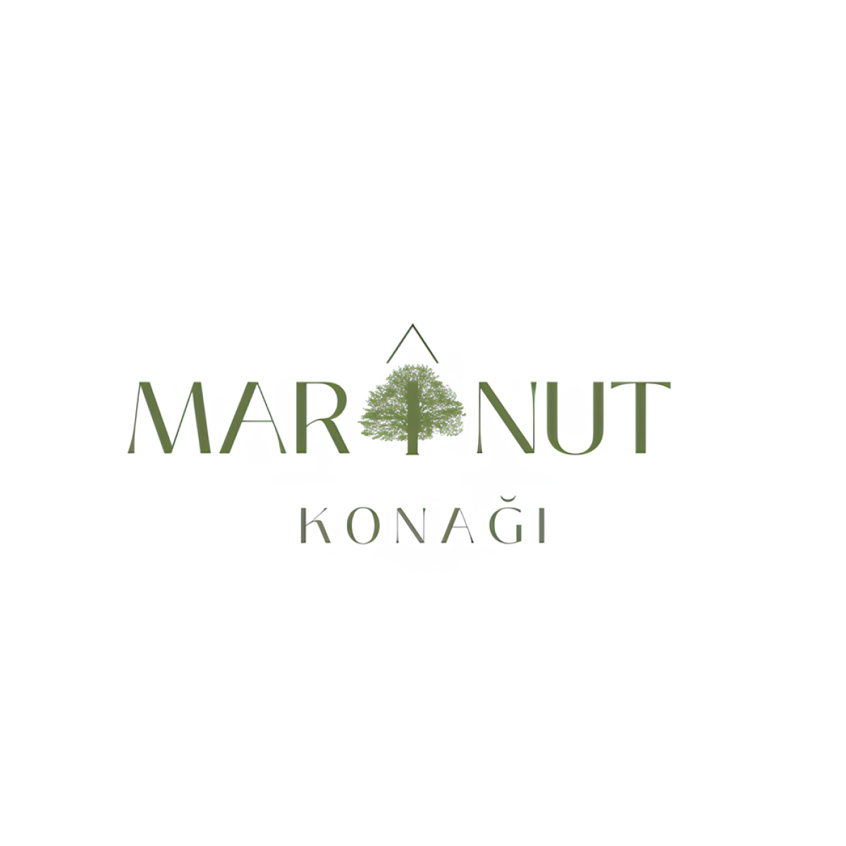 Tasarlayan pink1-Mardin Marinut Konağı Logo Çalışması