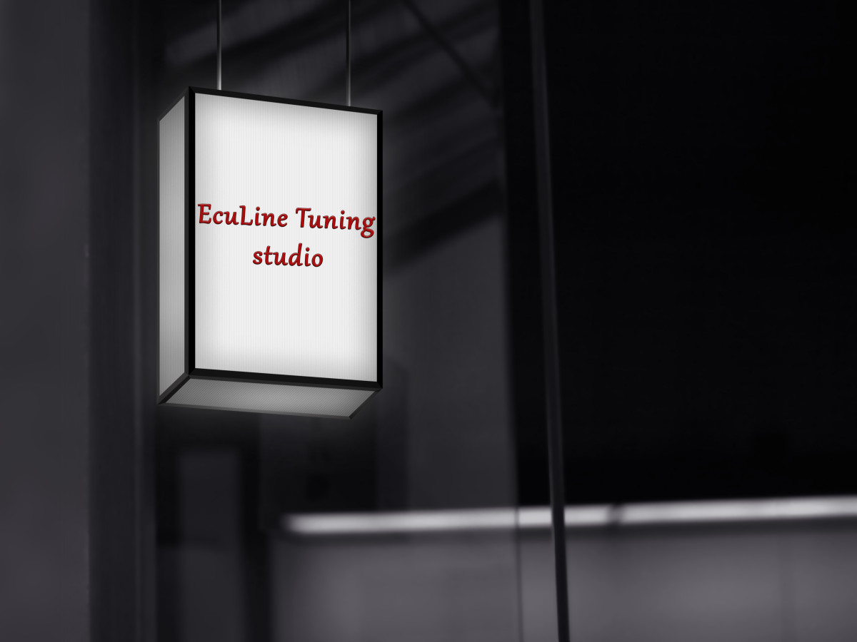 Tasarlayan fatmnur-Ecu performance and Chip Tuning