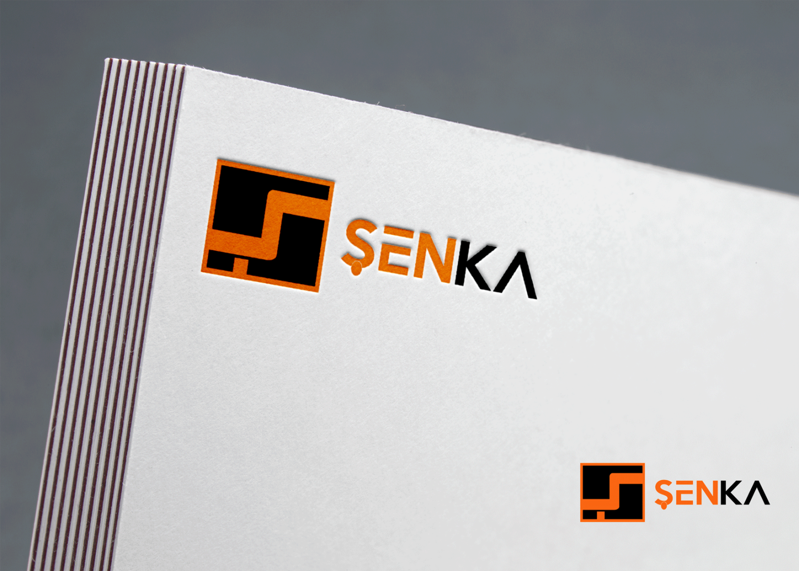 Tasarlayan cssefa-ŞENKA BİLİŞİM LOGOSUNU ARIYOR