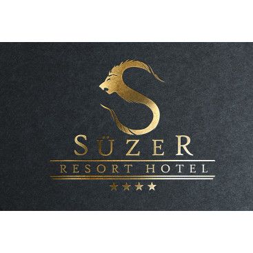 4 YILDIZLI HOTEL İÇİN LOGO ÇALIŞMASI yarışmasına tasarımcı X66 tarafından sunulan  tasarım 