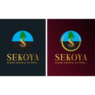 Lüks ahşap yarışmasına tasarımcı izdüsümü tarafından sunulan  tasarım 