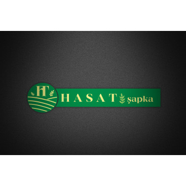 Ht Hasat Şapka Logo çalışması yarışmasına tasarımcı dcreagraph tarafından sunulan  tasarım