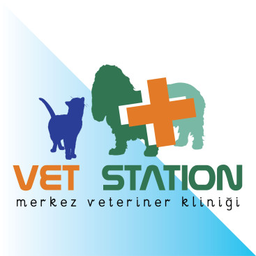 VET STATION VETERİNER KLİNİĞİ   LOGO  yarışmasına tasarımcı starlord20 tarafından sunulan  tasarım 